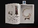 L'Europe de l'art verrier  (6).webp