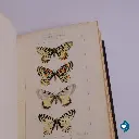 DSCF1491(7).webp