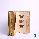 LUCAS P.H., Histoire des lépidoptères d’Europe, Paris, L. de Bure, 1845. 